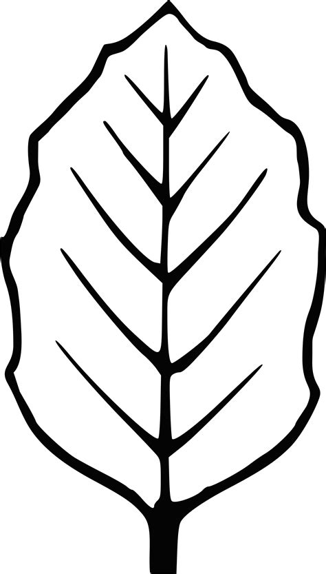 leaf outline images|free clip art leaf outline.